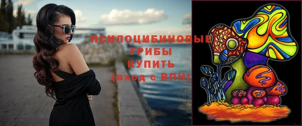 эйфоретик Аркадак
