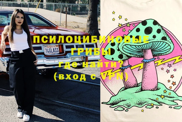 эйфоретик Аркадак